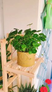 Scalding Bottle Iron Ring: A Lightweight & Rust-Proof Glass Bottle Cutting Tool