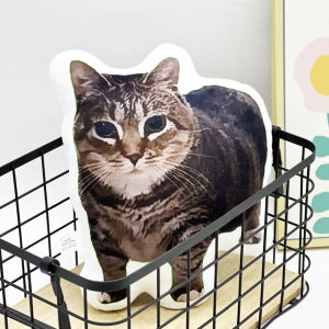 oiiai Internet celebrity cat funny alien pillow printed pillow high-quality stuffed plush cushion fans giftbirthday gift