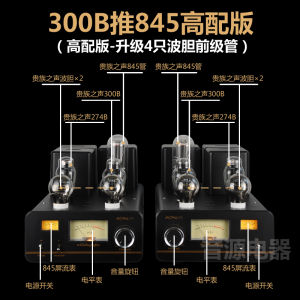 Mona 300B Push 845 Class a Single-Ended Tube Amplifier with 12 Inch And 15 Inch Co-Axial Speakers HiFi Audio Video Equipment