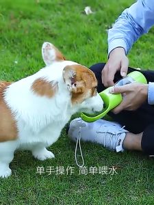 Bình nước cho thú cưng chó mèo đi dạo đi du lịch đi chơi