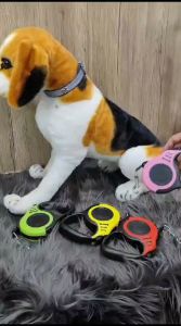 Tali Tuntun Hewan Panjang Otomatis / Retractable Pet Leash Dog Cat