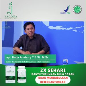 YACONA Paket Trio Herbal Support - Kapsul Hijau untuk Kesehatan Diabetes