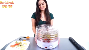 700W Food Dehydrator with Temperature Control 6-Tray Freeze Dryer for Fruits Vegetables Jerky Precise Temp Control