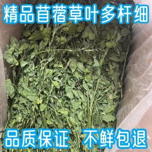 Small Seven Hemp Totoro Purple Clover 1kg Guinea Pig Grass Rabbit Grass Feed Cymbal Grass Young Rabbit Food Hay