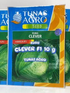 Benih Kubis Hijau Clever F1 10 gram Tunas Agro bibit biji sayur sayuran gubis kol ijo grand 11 hydroponik hidroponik