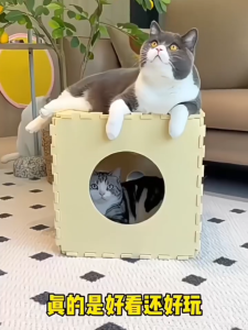 Cat House Box Double-ayer Cat Nest Removable Dice Shaped Cat Bed House Sarang Kucing Murah 猫房