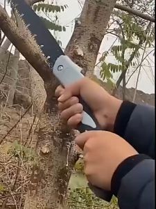 Ultimate Guide to Folding Hand Saws & Gardening Pruners