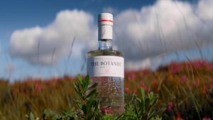 The Botanist Islay Dry Gin 700ml: A High-Quality Gin Experience