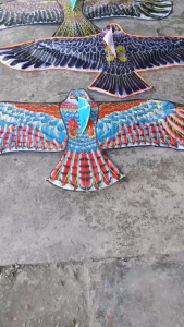 Viral Layang-layang elang JUmbo ukuran 24 Meter Mudah terbang Layangan modern bisa bongkar pasang mainan seru anak.