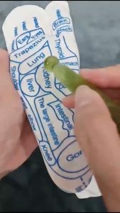 Foot Massage SocksReflexology Socks Hosiery Breathable Casual Comfortable Acupoint Socks Point Pen For Daily Use Adults