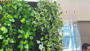Dây lá giả treo tường cao cấp VI129 mô phỏng lá nho lá trầu bà dài 60cm-100cm trang trí nhà cửa