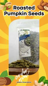 Greendahan Roasted Pumpkin Seeds 250g | 500g - Nutrient Dense Nut\\n\\n What Are Greendahan Roasted Pumpkin Seeds?\\n\\nGreendahan Roasted Pumpkin Seeds are a delicious, healthy snack that can be enjoyed by people of all ages. These seeds are sourced from organic pumpkins, making them a perfect choice for those who are conscious about their health and the environment. They come in two convenient sizes - 250g and 500g packs, making them easy to store and share with friends and family.\\n\\n Key Nutritional Benefits\\n\\nGreendahan Roasted Pumpkin Seeds are packed with essential nutrients, including protein, fiber, healthy fats, vitamins, and minerals. These seeds are an excellent source of magnesium, zinc, iron, and potassium, which play a crucial role in maintaining good health.\\n\\n How to Store & Maintain Freshness\\n\\nTo ensure the freshness and quality of your Greendahan Roasted Pumpkin Seeds, it is recommended to store them in a cool, dry place away from direct sunlight. For optimal shelf life, keep the seeds in an airtight container or resealable bag.\\n\\n How to Enjoy Greendahan Roasted Pumpkin Seeds\\n\\nThere are numerous ways to enjoy these delicious and nutritious seeds. Here are some creative recipe ideas and pairing suggestions to help you get the most out of your Greendahan Roasted Pumpkin Seeds:\\n\\n Creative Recipe Ideas\\n\\n* Add pumpkin seeds to your favorite salad for an extra crunch and nutritional boost.\\n* Mix pumpkin seeds with nuts, dried fruits, and chocolate chips to make a homemade trail mix.\\n* Use pumpkin seeds as a topping for oatmeal, yogurt, or smoothie bowls.\\n* Make a healthy granola bar by combining pumpkin seeds with oats, honey, and other ingredients.\\n\\n Pairing Suggestions for Optimal Flavor\\n\\n* Pair pumpkin seeds with dark chocolate for a satisfying and delicious snack.\\n* Combine pumpkin seeds with cheese and crackers for a classic snack platter.\\n* Add pumpkin seeds to your favorite stir-fry dish for added texture and flavor.\\n* Serve pumpkin seeds as a crunchy topping for soups and stews.\\n\\n Why Choose Greendahan Roasted Pumpkin Seeds\\n\\nWhen it comes to choosing a healthy and sustainable snack, Greendahan Roasted Pumpkin Seeds stand out for several reasons:\\n\\n Superior Quality & Sourcing\\n\\nGreendahan sources its pumpkin seeds from organic farms, ensuring that they are free from harmful chemicals and pesticides. This commitment to quality means that you can enjoy these seeds with peace of mind, knowing that they are safe and nutritious.\\n\\n Health-Conscious Choice\\n\\nGreendahan Roasted Pumpkin Seeds are an excellent choice for those who are looking to maintain a healthy lifestyle. These seeds are rich in essential nutrients, making them a perfect addition to any diet. They are also low in calories and free from added sugars, making them an ideal snack for weight management.\\n\\n Where to Buy Greendahan Roasted Pumpkin Seeds\\n\\nGreendahan Roasted Pumpkin Seeds are available at select retail locations and online shopping platforms. Here are some options to consider:\\n\\n Online Shopping Options\\n\\n* Amazon\\n* Thrive Market\\n* Greendahan's official website\\n\\n Retail Locations\\n\\n* Whole Foods Market\\n* Sprouts Farmers Market\\n* Natural Grocers\\n\\nIn conclusion, Greendahan Roasted Pumpkin Seeds are a delicious and nutritious snack that can be enjoyed by people of all ages. With their rich flavor, crunchy texture, and numerous health benefits, these seeds are a must-have addition to any healthy diet. So why wait? Try Greendahan Roasted Pumpkin Seeds today and experience the taste of wholesome goodness!\"