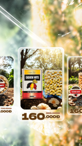 Hạt Điều Sấy Nguyên Vị có đủ size Hộp 500g300g250g và Túi hút chân không 500g Hạt điều loại 1 - Xưởng hạt điều T&A