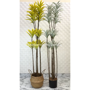 Pohon Artificial Tanaman Hias Song Of India T170 Variasi Warna Kuning & Putih Latex Cover Purun Belly Hiasan Dekorasi Ruangan Aesthetic