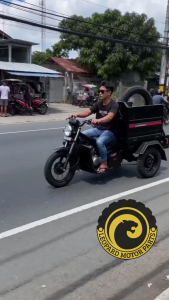 LEO NISSIN SPECIAL TIRE TRICYCLE Traysikel Gulong 6ply Anti-Slip Matibay motorcycle 275-17/300-18