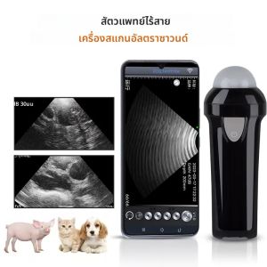 แบบพกพา Veterinary Ultrasound Scanner ไร้สายสําหรับหมูสุนัขแกะ IP67 Probe มือถือ Ultrasound Scanner การตรวจจับการตั้งครรภ์