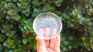 Glass Coaster/Lid/Coaster/Saucer 3 1/4 inch - Diamond Design