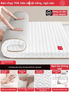 JIFANPAUL | Nệm Latex cho Sinh Viên Ký Túc Xá 180x200cm
