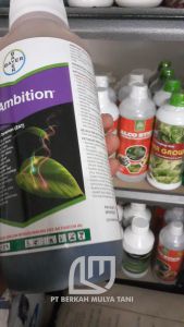 Pupuk Ambition Obat Bayer 1000 ml / 500 ml Zat Aktivator Tanaman