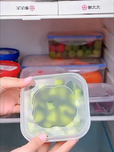 LILIER Storage Box PP Plastic FCM Food Contact Material 5pcs Clear Lunch Containers with Lids