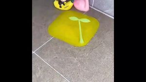 ClickBuy แผ่นซิลิโคนกันกลิ่น แผ่นรองระงับกลิ่น ฝาครอบท่อระบายน้ำซิลิโคน กันแมลงHome & Living