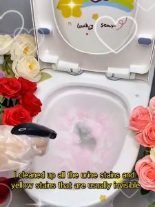 Toilet Bathroom Cleaner Spray Refreshing Powerful 99.9% Anti-Bacterial Fragrance-infused Effective Stain and Mold Remover Multi-Functional 香氛洁厕剂 500ml