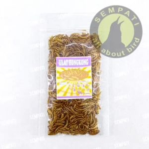 SEMPATI Ulat Hongkong Kering Pakan Makanan Sugar Glider / Gecko / Burung Plastik PKJK2RF - Meningkatkan Energi dan Produktifitas (EXPORT)