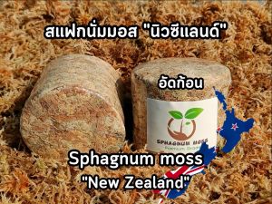 สแฟกนั่มมอส นิวซีแลนด์ แท้100% อัดก้อน 50 กรัม (4ลิตร) มอสเน้นๆฟูสวย เส้นยาว เศษหญ้าน้อย * Sphagnum moss Premium Grade 50g.