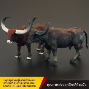 ของเล่นโมเดลสัตว์จำลอง วัว ของเล่นสำหรับเด็ก ของเล่นโมเดลสัตว์ วัว วัวบ้าน วัวน้ำ ของเล่นที่ช่วยให้เด็กเรียนรู้ ของตกแต่ง