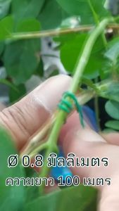 ลวดหุ้มพลาสติก ลวดมัดต้นไม้ ลวดมัดอเนกประสงค์ ลวดมัดกิ่งกุหลาบ ลวดมัดกล้วยไม้ ลวดสำหรับงานฝีมือ ลวดใช้มัดกล้วย ค้ำบอนสี ลวดปลอดภัย หุ้มพลาสติกเส้นกลม