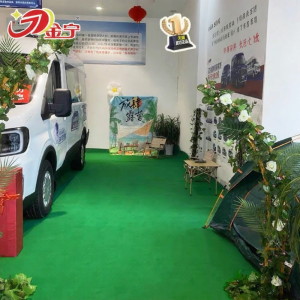 JINNING | Thick Green Carpet Business Celebration Use