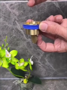 Floor Drain Core Bathroom Kitchen Accessories Floor Deodorizer Drainage Filter Useful One Way Valve Shower Drainer with Odor Trap Insect Prevention Shower Drainer Seal Stopper Anti Odor