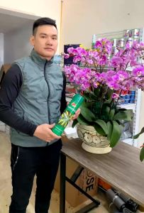 Chai Xịt Bóng Lá Cây Leafshine 600ml – Làm Bóng Lá Xanh Lá Sạch Bụi Tăng Thẩm Mỹ Cho Cây Cảnh