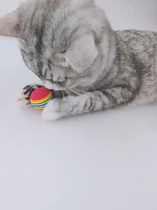 Đồ chơi bóng cầu vồng cho Chó Mèo bằng chất liệu EVA siêu nhẹ (mẫu mới) - Love Pets Shop