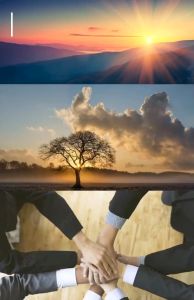 Sách - Thiên thời địa lợi nhân hòa (bìa cứng) - tái bản