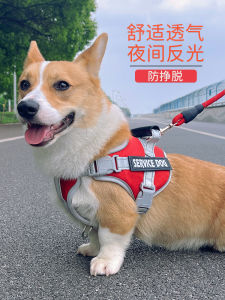 Adjustable Vest-Style Dog Leash Nylon Material Retractable Dog Walking Rope Large Medium Small Dogs Anti-Loss Golden Retriever Supplies