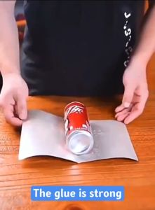 LZW® Fly Trap Board: Effective Pest Control Solutions for Your Kitchen & Restaurant