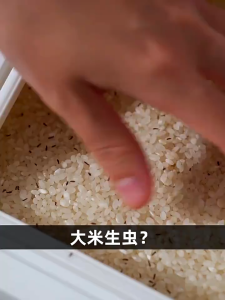 Kitchen Food Storage Containers Rice Bucket Insect and Moisture-proof Sealing Food Grade Flour Cereal Dog Food Storage