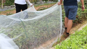 40 Meshes Anti Insect Bird Nets Farm Vegetable Pest Control Screen Garden Plants Care Netting Fly Net/ Insect Net /garden