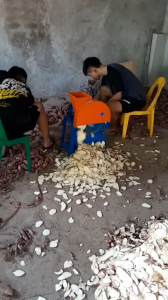 Máy Thái Lát Củ Mỳ Khoai Lang Thái Củ Sắn