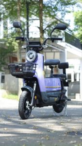 PROMO Sepeda Listrik Pacific Agatos 350 Power 500Watt Full Feature