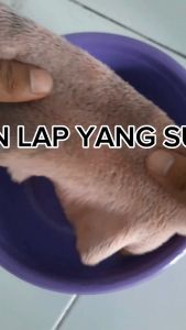 Stain Remover Pembersih Pakaian / Detergen Penghilang Noda Pada Pakaian / pembersih serba guna / penghilang noda / jamur pakaian / noda membandel - Bisa COD