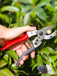 AIRAJ | Gardening Shears Pruning Tool