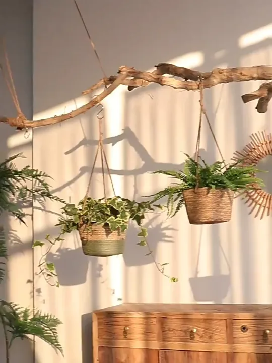 THAILUCKY กระถางแขวนทรงกลม 8 นิ้ว สไตล์นอร์ดิก