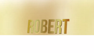 CD.2 : Bolero Nhạc Tình : 15 Bài Hát LossLess