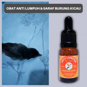 Anti Saraf Burung Kicau Obat Burung Lumpuh Kaki Bengkak Dan Masalah Saraf