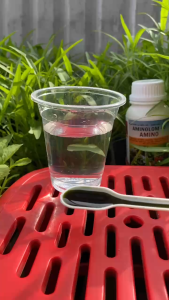 Phân Bón Lá Hữu Cơ AMINOLOM 40 AMINO - Dưỡng Bông Mập Bông Chắc Trái Lớn Nhanh (500ml)