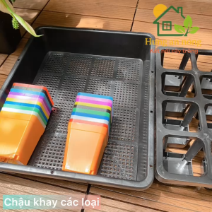 KCL1 - Khay 12 ô vuông đen chậu vuông 7cm trồng sen đá xương rồng thiết kế chống thấm nước nhựa PP - xem trong mô tả
