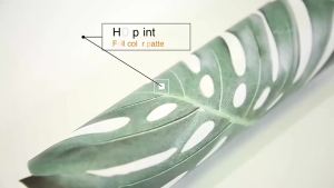 Charizard Bulbasaur Pikachu wall art poster anime Pokemon pictures round