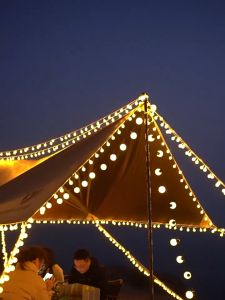 50 LED Bulbs Solar Lamp Fairy Ball String Lights 17.5M Solar String Lights Outdoor Waterproof LED Christmas Lights Solar Power Crystal Ball Lights 11-mode for Patio bulb Garden for Camping Porch Wedding Party Decoration